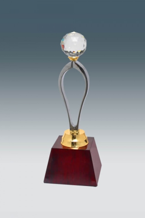 Contemporary Metal Trophy with Crystal studded Crown