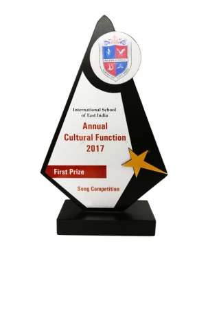 Shield Disc on Pyramid Customizable Wooden Award-7.5